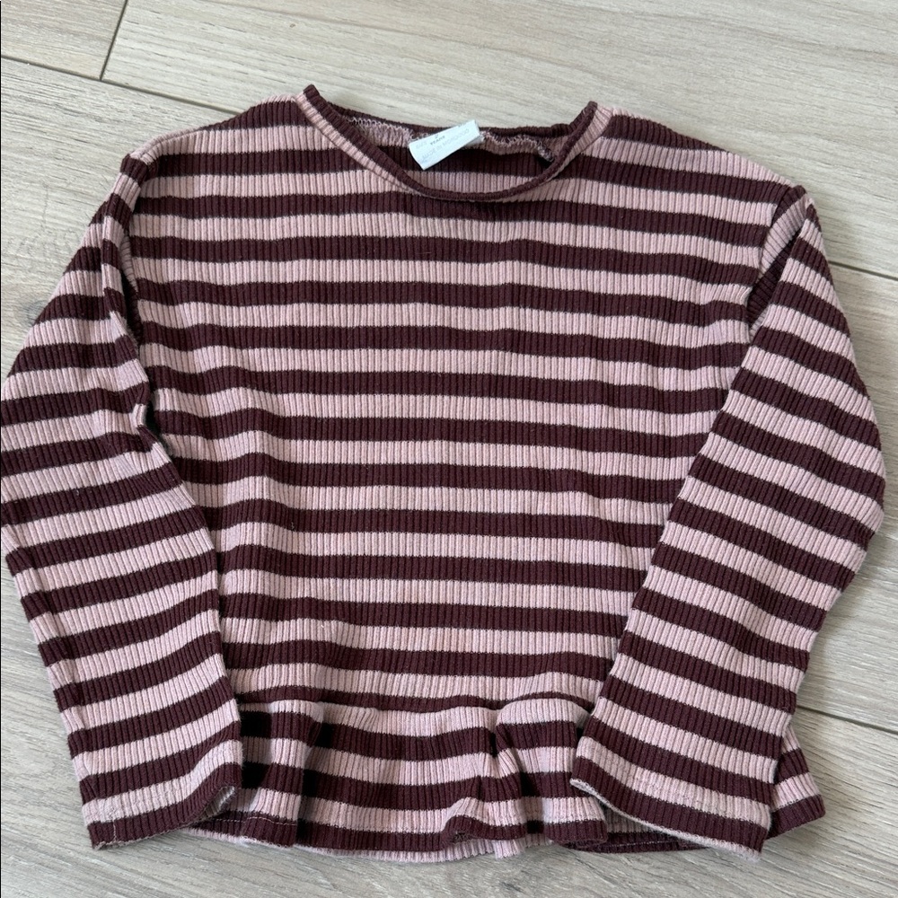 Zara Striped Knit Top in Brown and Pink